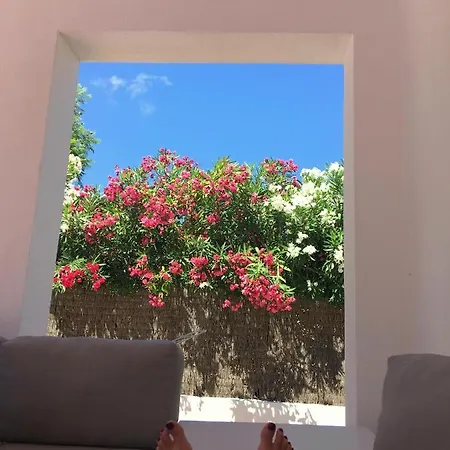 Casa *